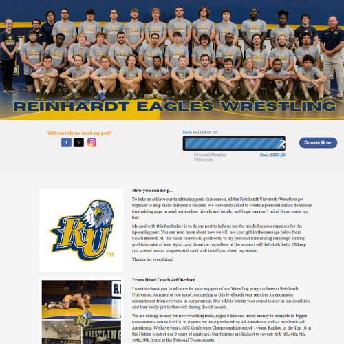 Campaign page preview